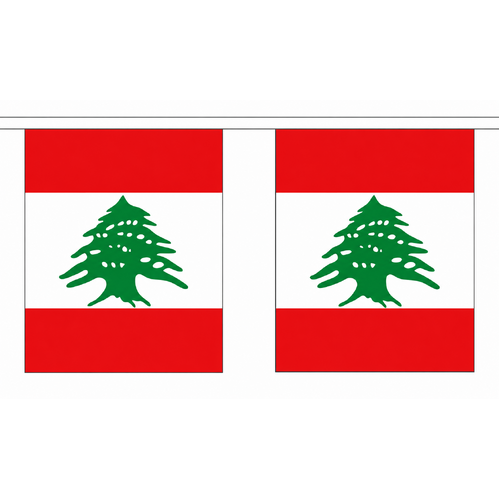 Lebanon National Flag Bunting 5M Long! Cedars Rugby League!