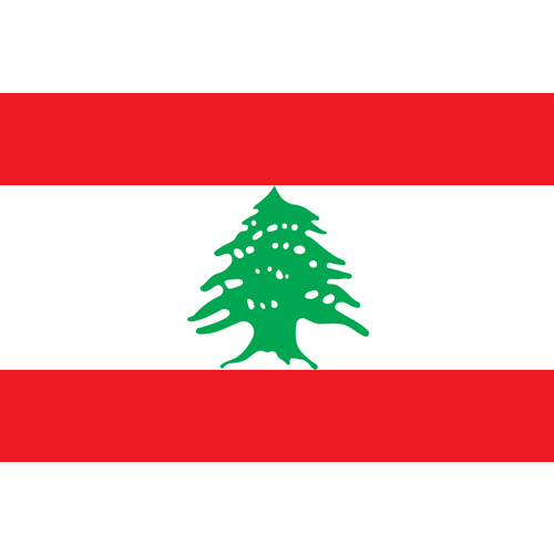 Lebanon National Flag Cedars RLWC Rugby League Polyester Flag 60cm x 90cm 